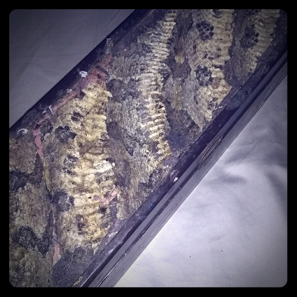 Snake skin Box